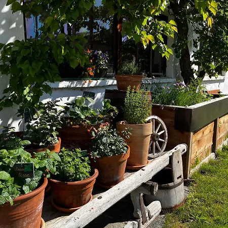 Gaestehaus Fitsch Обштайг