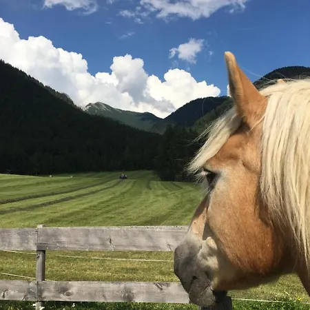 Gaestehaus Fitsch * Obsteig