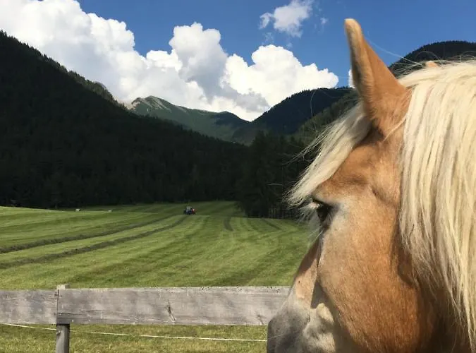 Gastehaus Fitsch * Obsteig