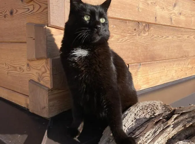 Gaestehaus Fitsch Κατάλυμα σε φάρμα *